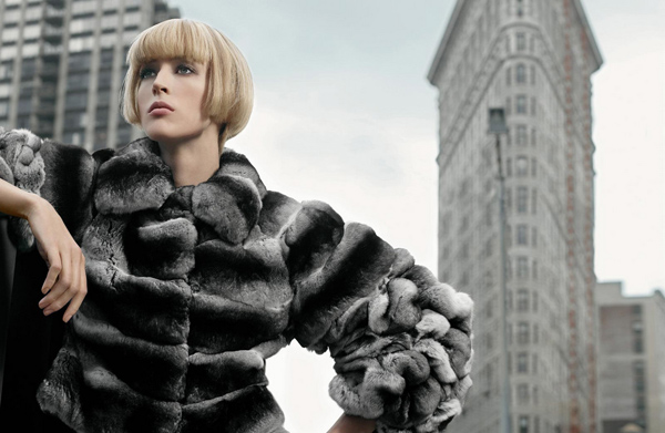 ��������� �������� �����-���� 2008/09