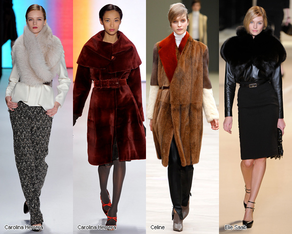 ������ ��������� �����-���� 2011/12