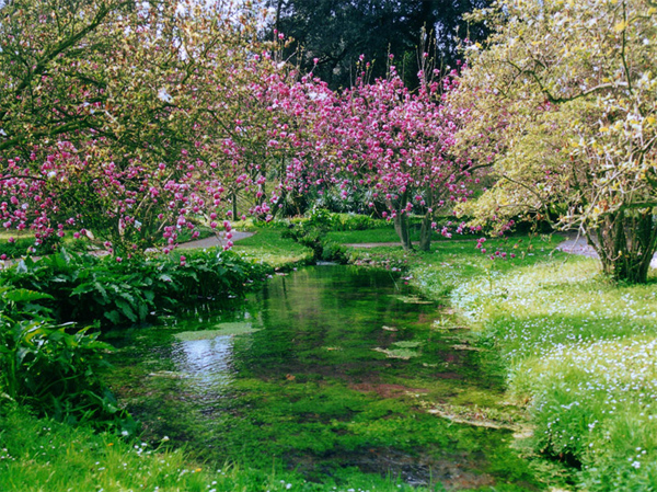 ��� ����� (Giardini di Ninfa)