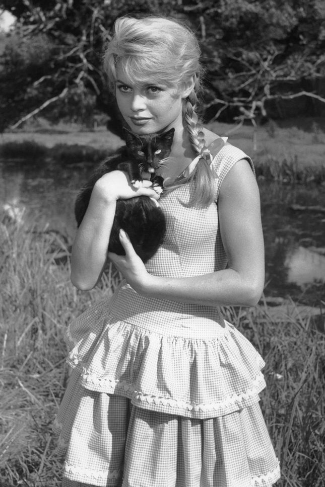 ������� ������ ������ ������ �����