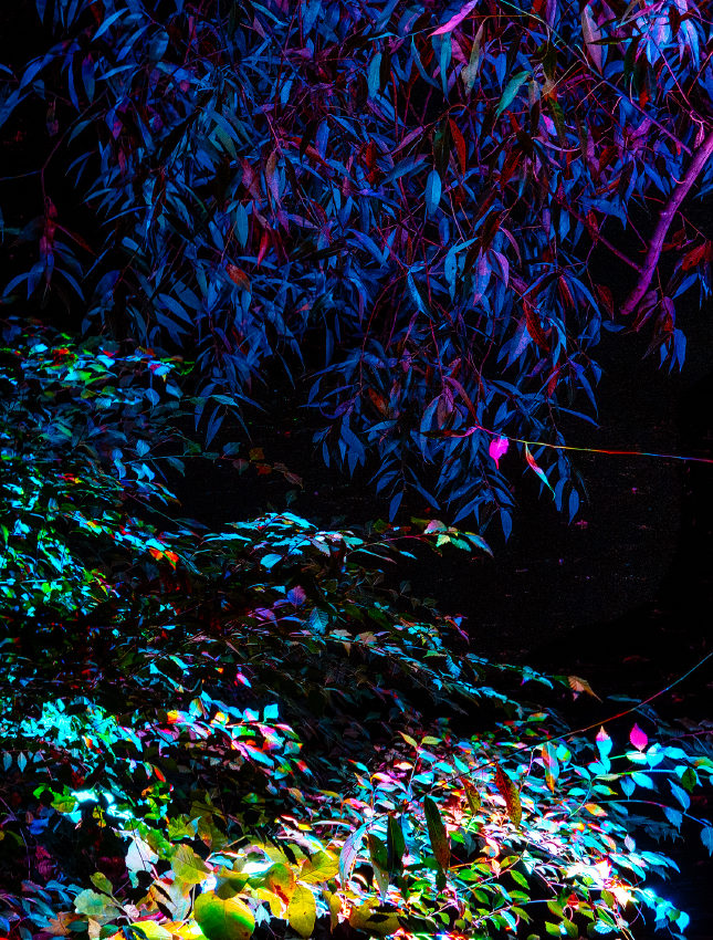 ����� ���� �� ������ 5-� ��������� �������� � ������