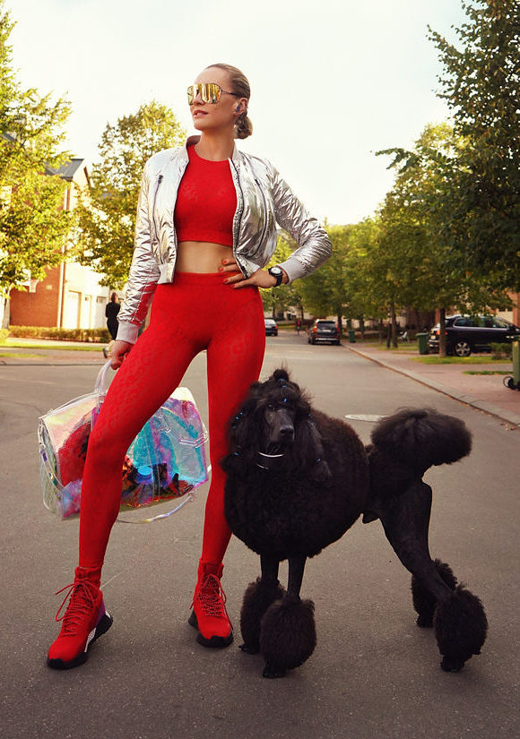 ������� �������� ������ �������� � ���������� ������� ��������� �������������