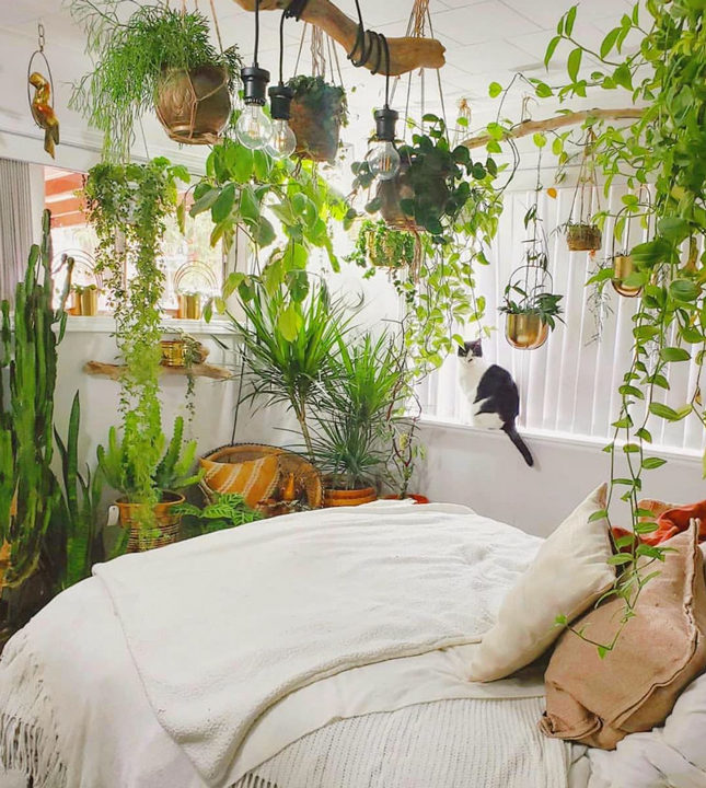 ���������, ��� �������� �� ������ ������ �� ������ � ��������