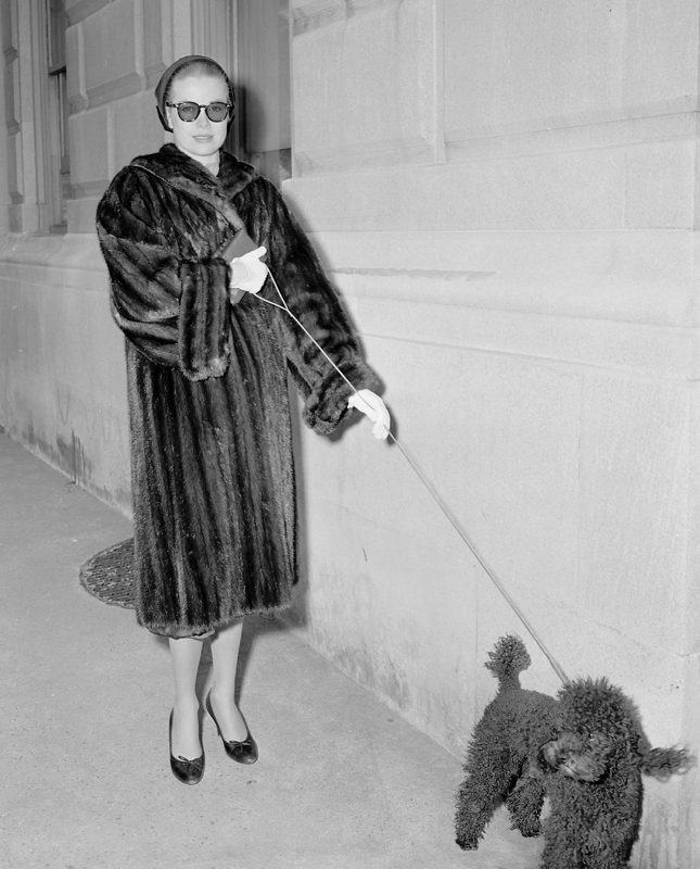 ��� ����� ����� ��������� �� ������