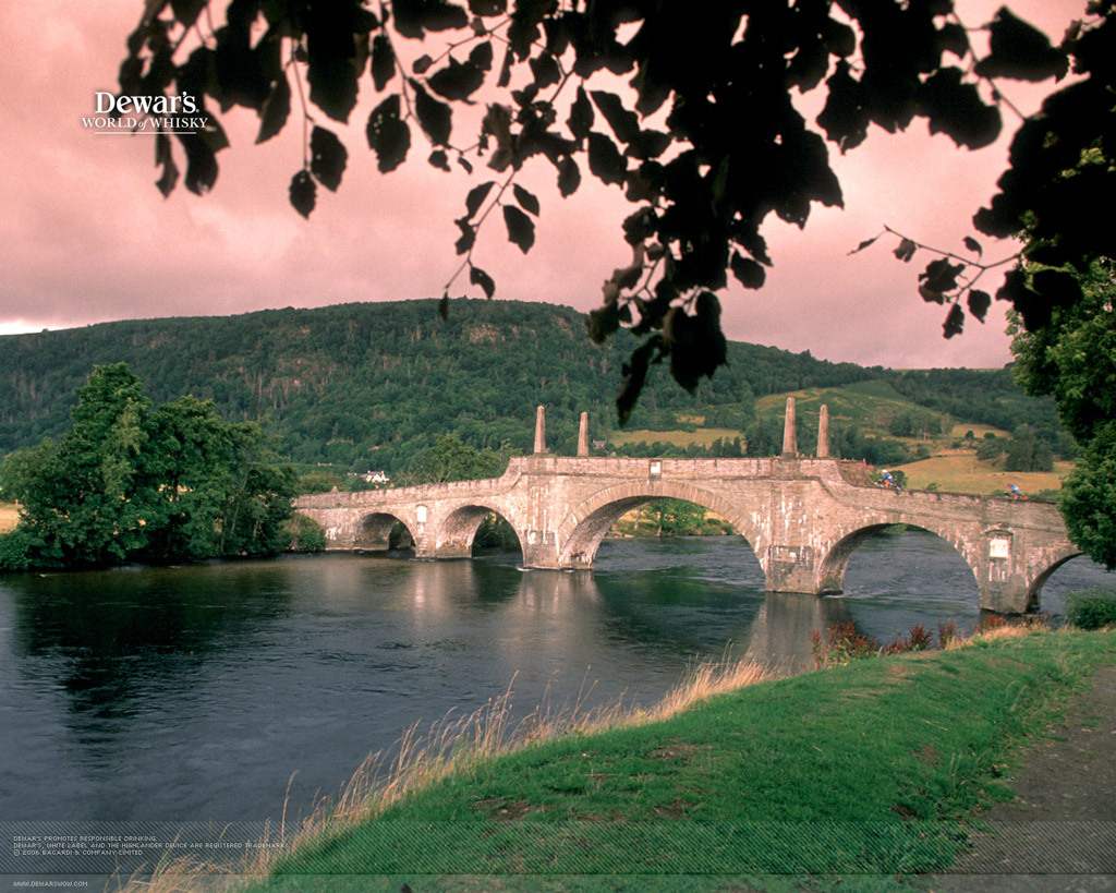 ���� ���������